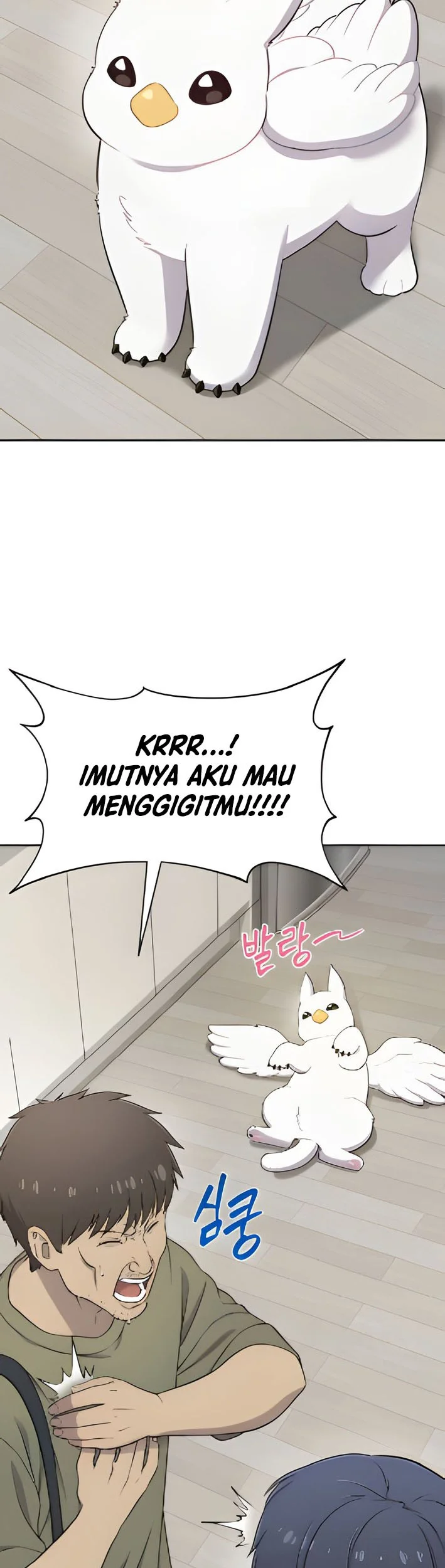 Hello, Fluffy Griffin! Chapter 3 Gambar 18