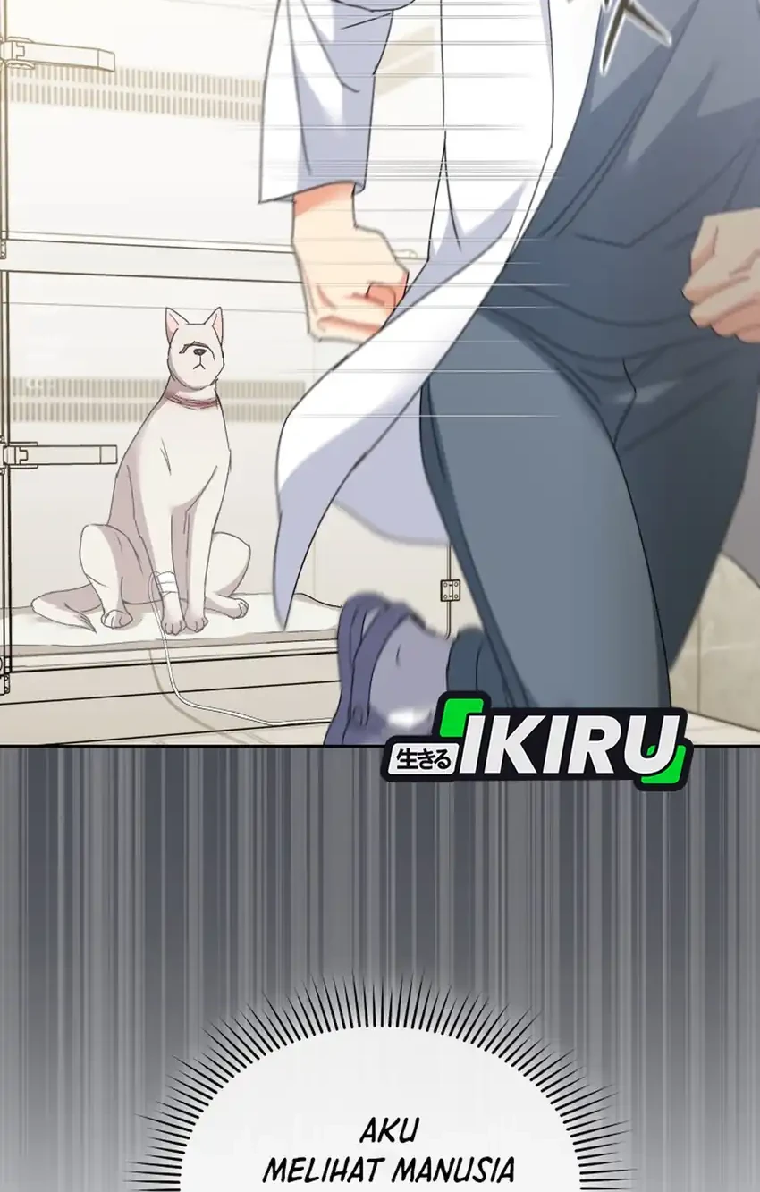 Hello? Veterinarian! Chapter 116 Gambar 28