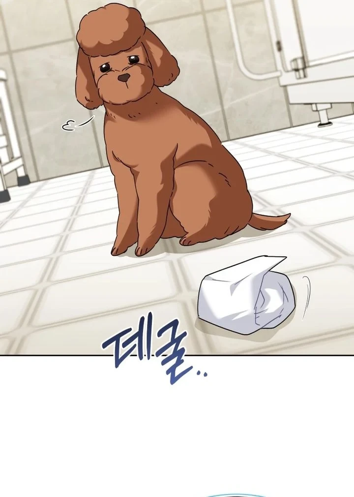 Hello? Veterinarian! Chapter 139 Gambar 27