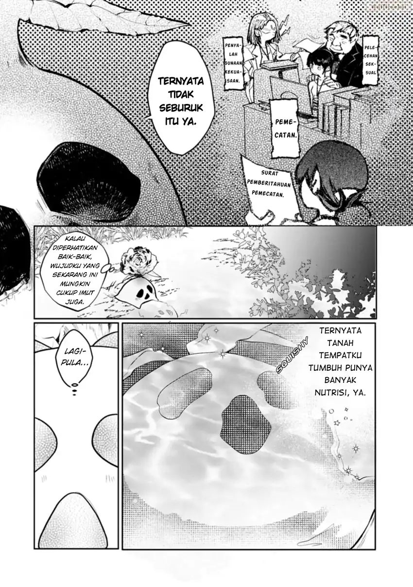 Mandragora tte Baretara Toubatsu desu ka?: Hana no Majo no Hohoemi wa Kanchigai no Tane o Maku Chapter 1 Gambar 15
