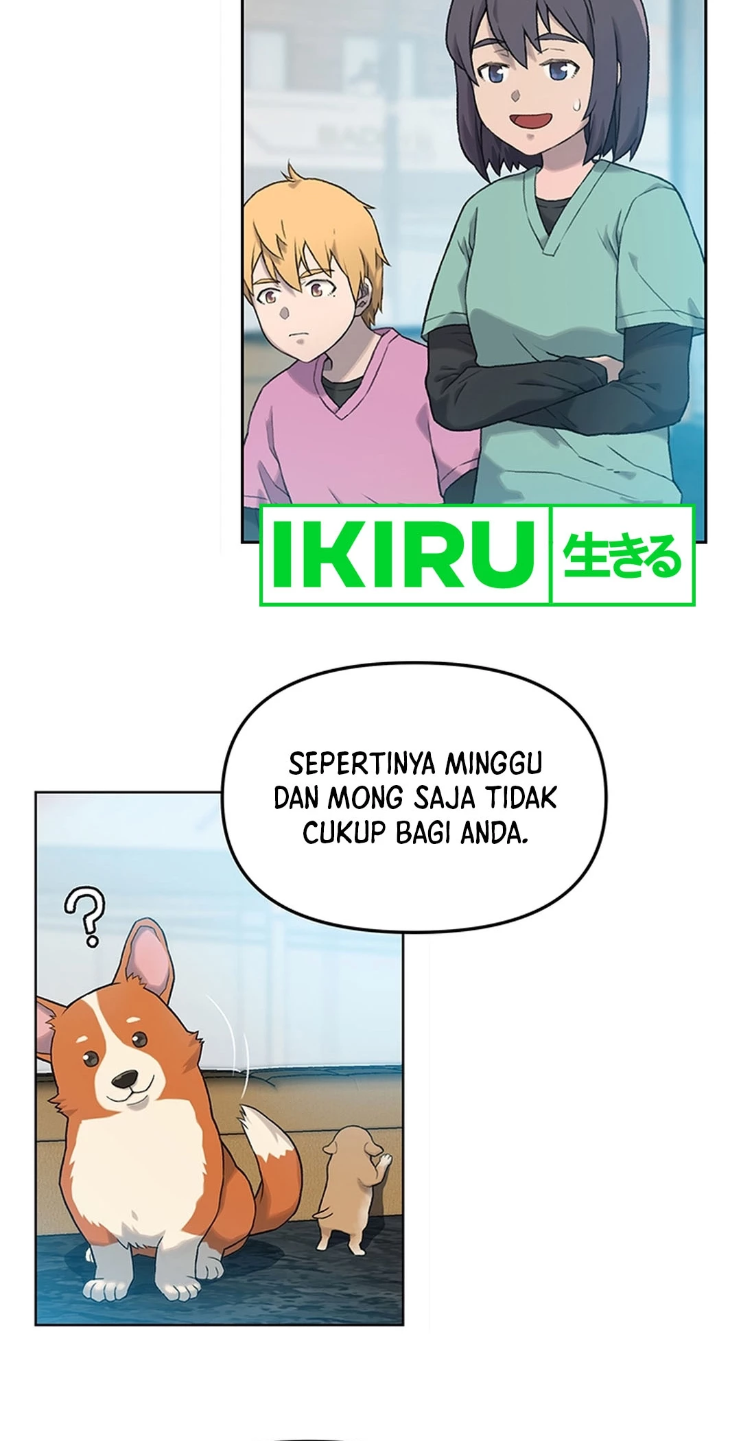 Halaman 20