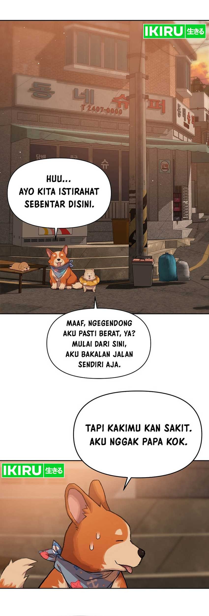 Halaman 17