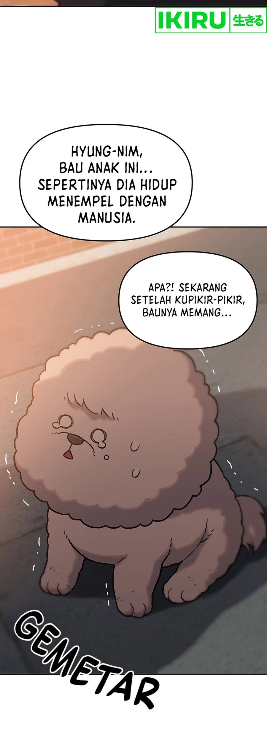 Halaman 17