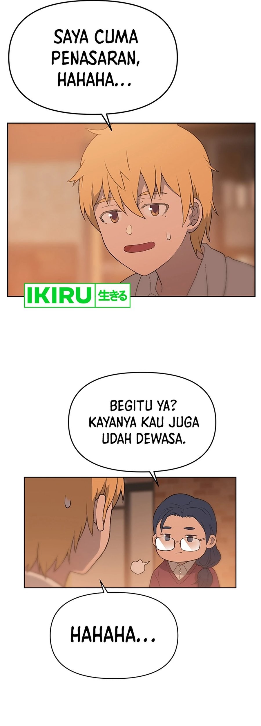 Halaman 17