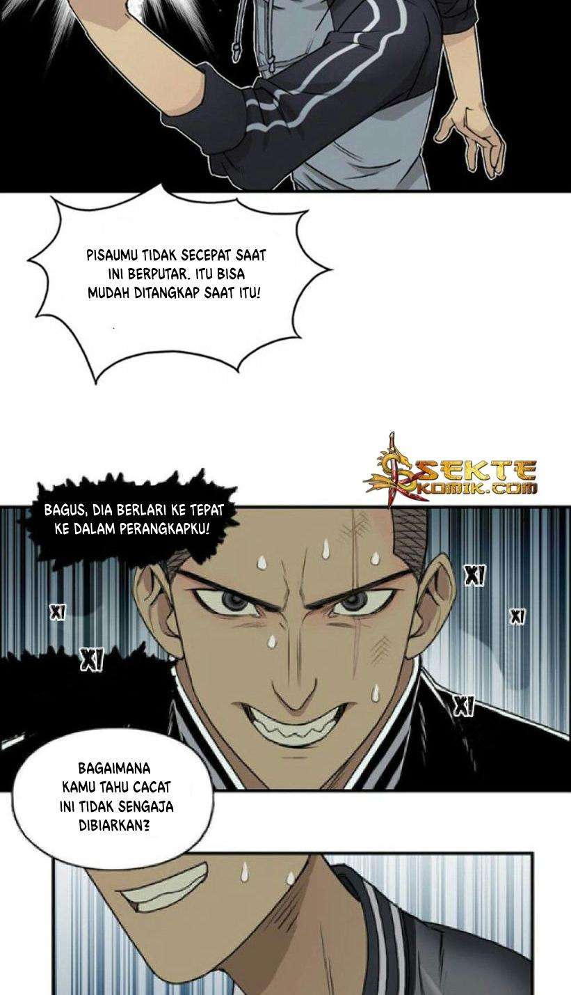Halaman 17