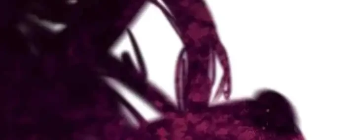 The Male Leads Are Trapped in My House Chapter 41 Gambar 18