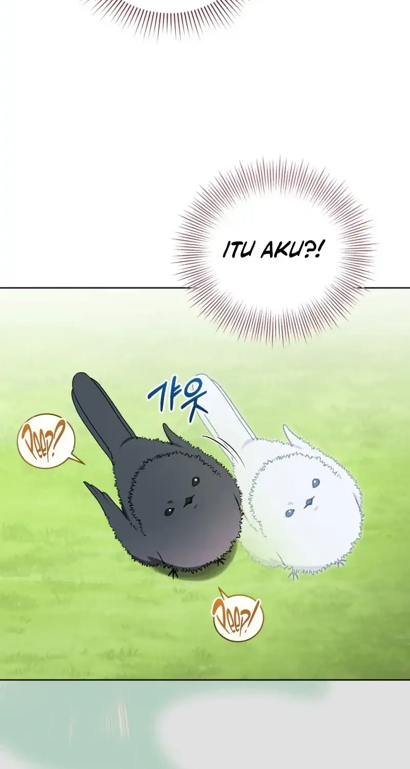 The White Tiger Clan’s Baby Cotton Ball Chapter 17 Gambar 28