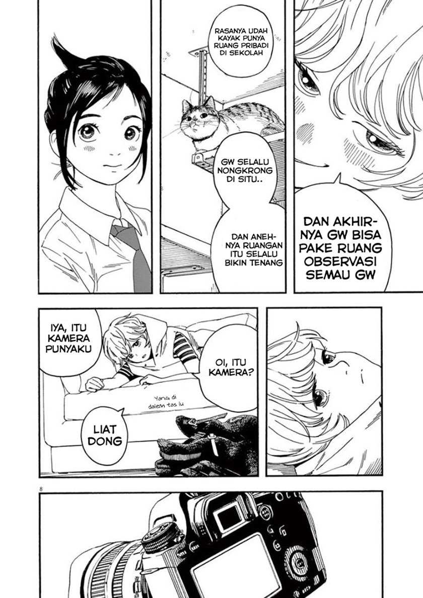 Halaman 8