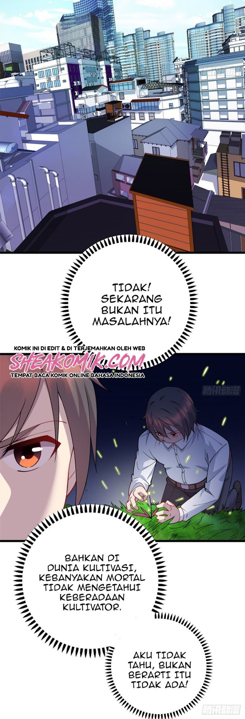 Halaman 8