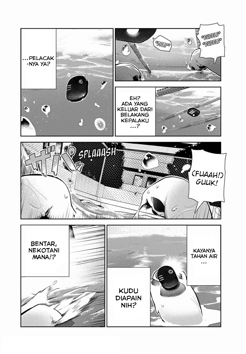 Halaman 8