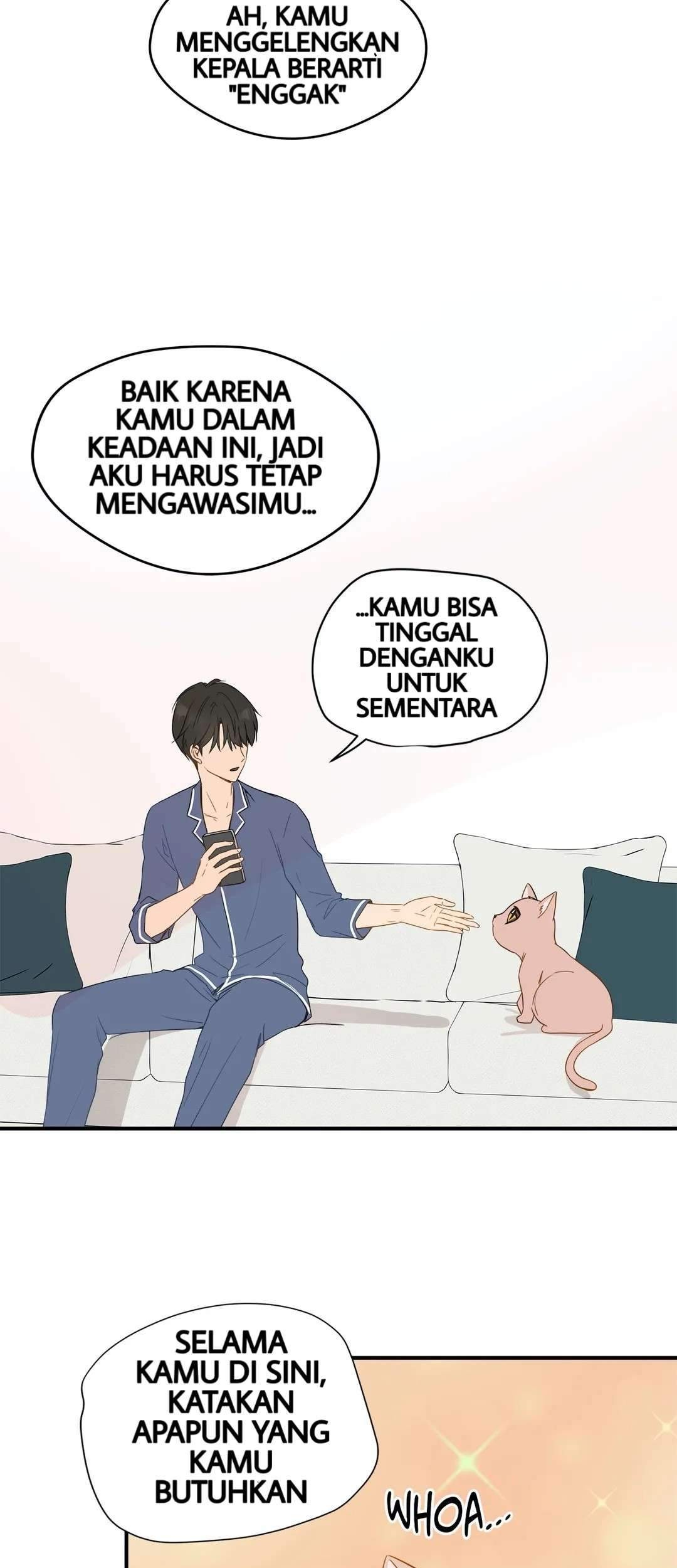 Just for a Meowment Chapter 3 halaman 14