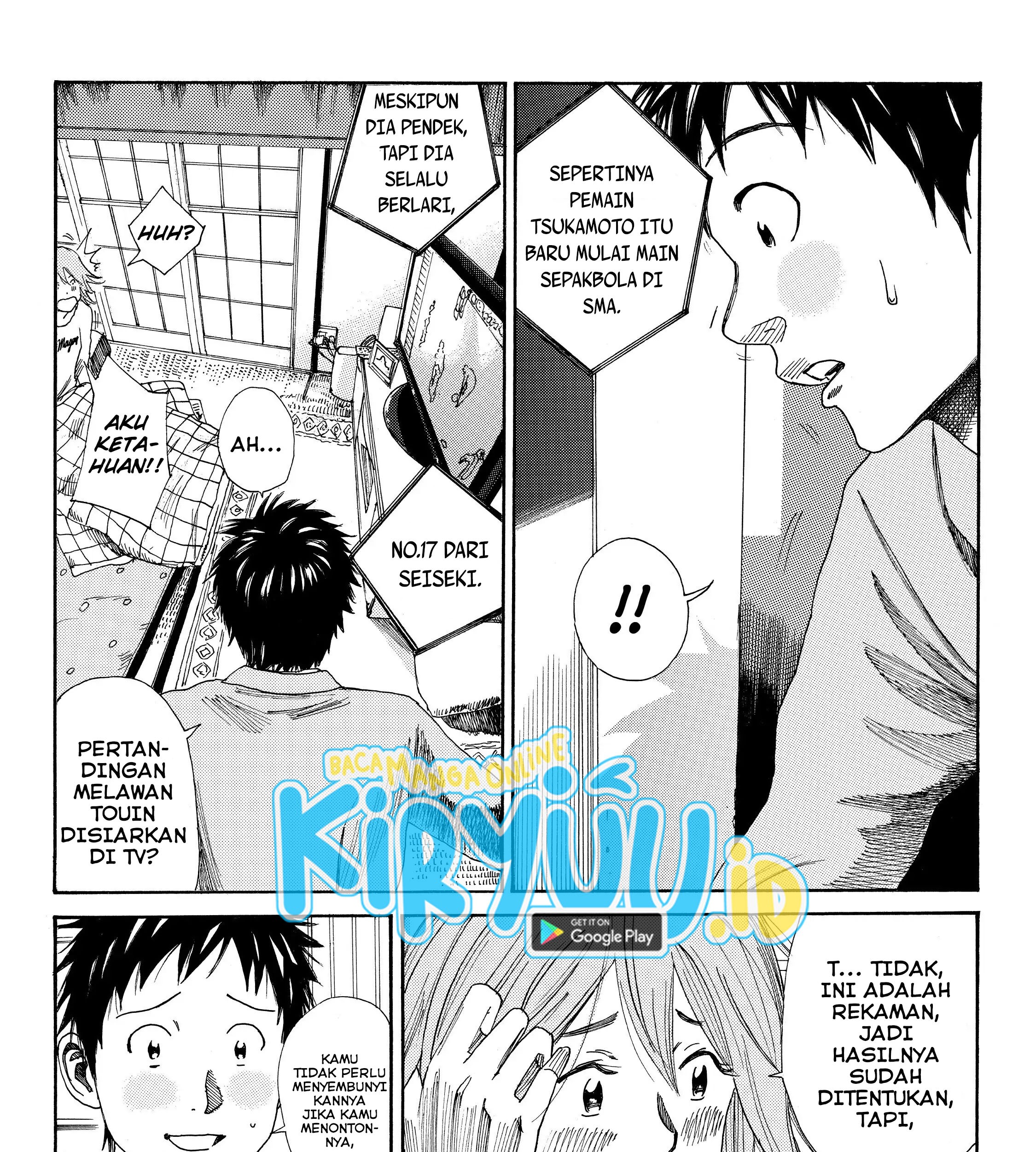 Halaman 17