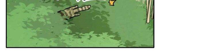 Tiger Coming In Chapter 69 Gambar 15
