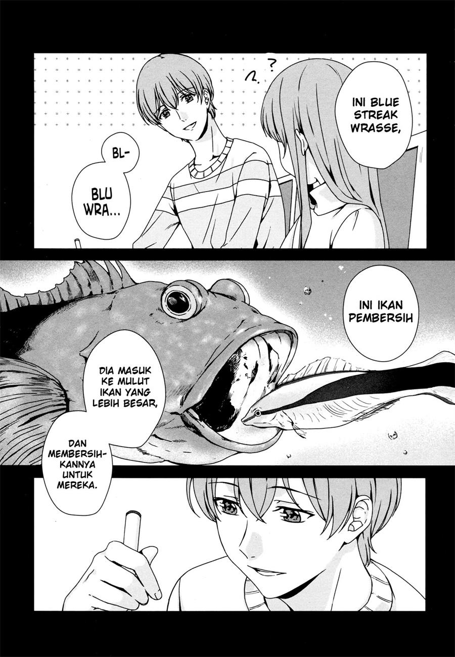 Halaman 11
