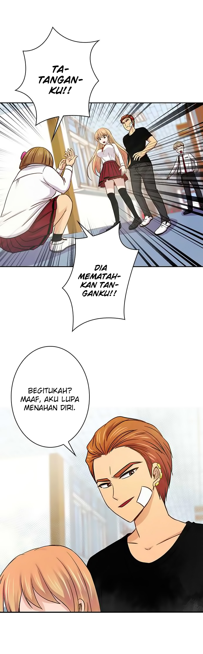 Halaman 17