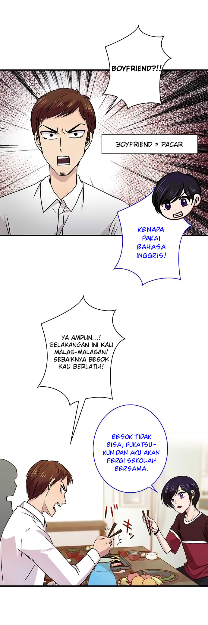 Halaman 17