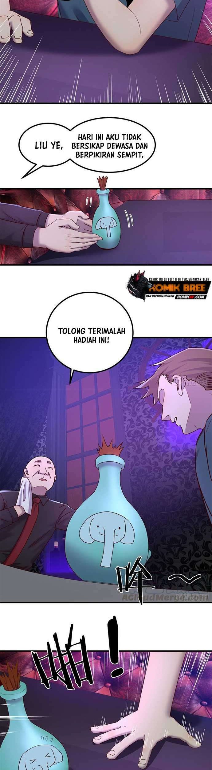 Halaman 17