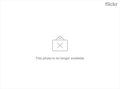 Sword Art Online - Girls Ops Chapter 2 Gambar 8